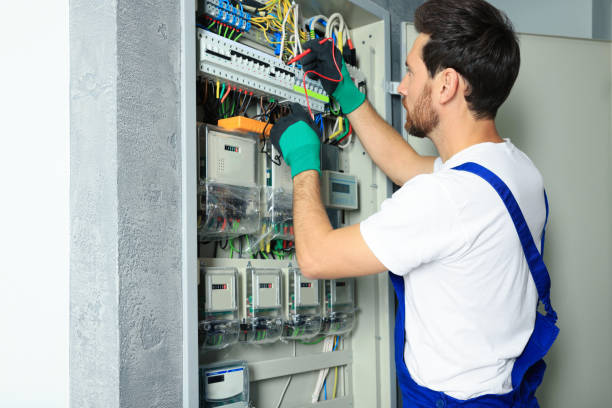 Best Generator Installation Services  in Tallapoosa, GA